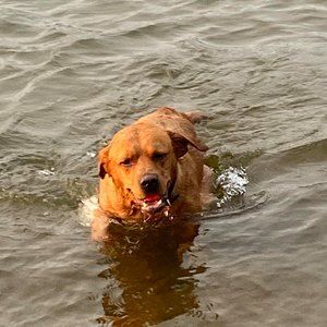 Meet your Posher, Sharon